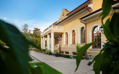 Csallóközi királyság